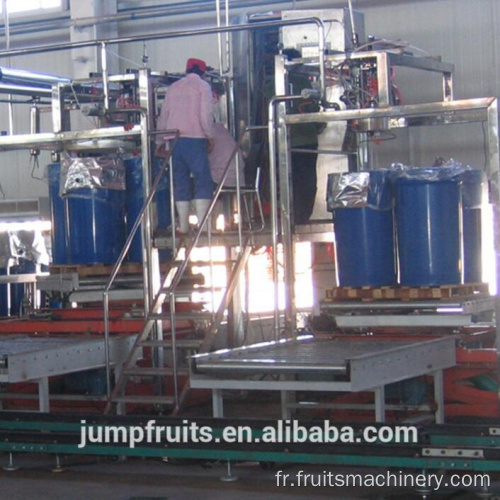 Machine de traitement de la pâte de tomate de 500 kgs